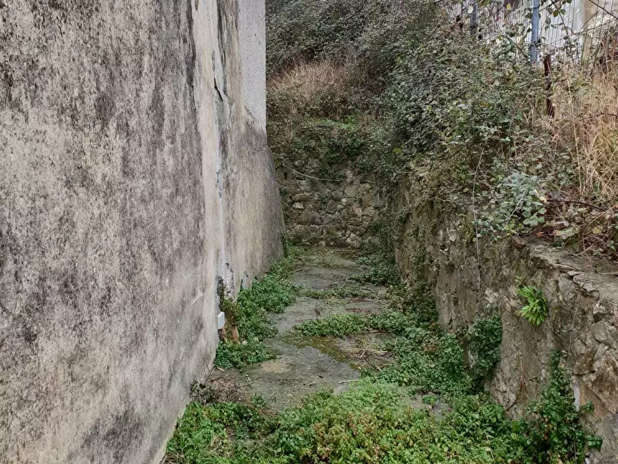 Immagine 10 di Terratetto in vendita  a Livorno