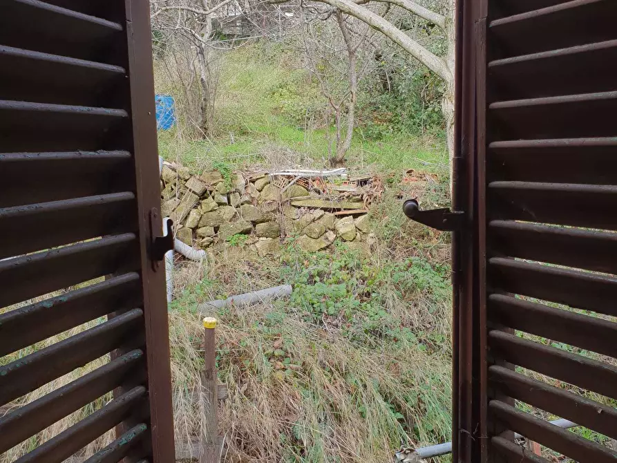 Immagine 7 di Terratetto in vendita  a Livorno