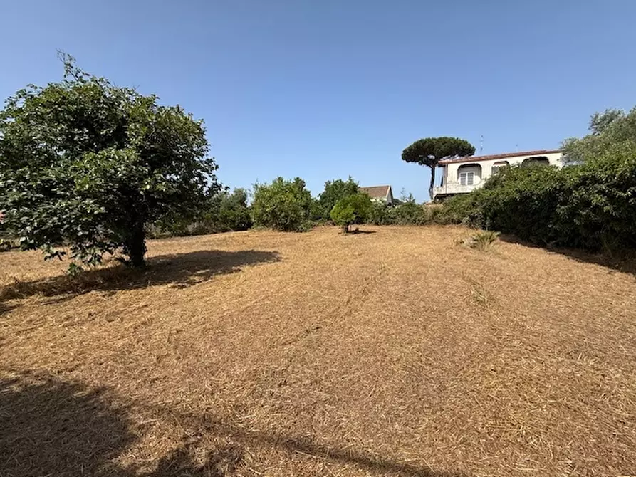Immagine 4 di Terreno edificabile in vendita  in Via Viminale a Nettuno