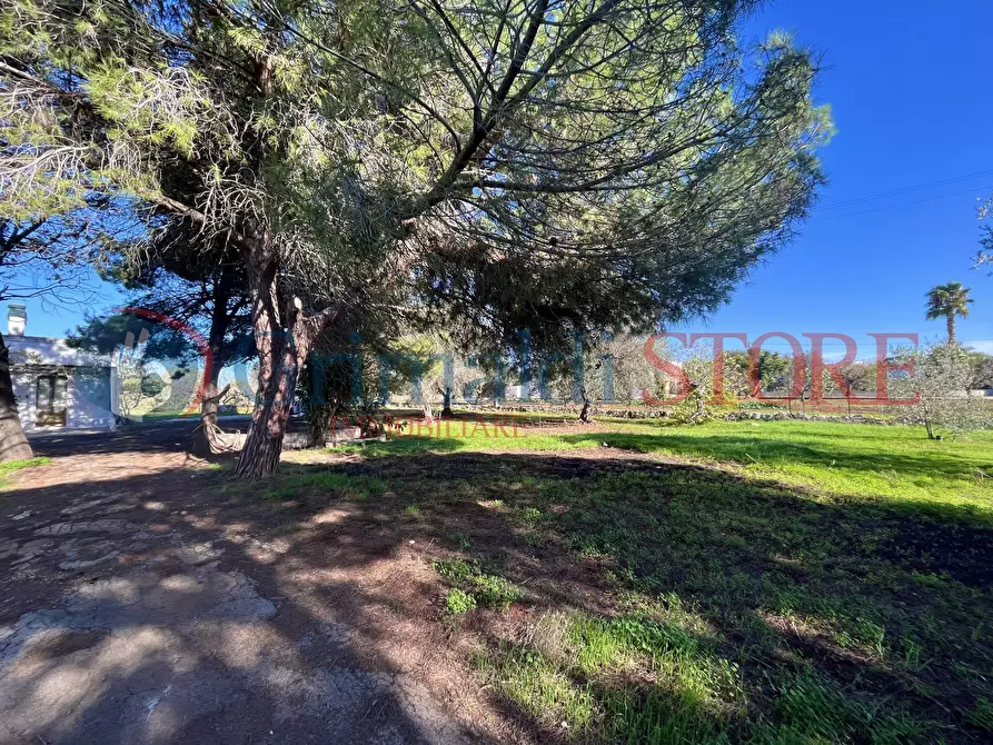 Immagine 37 di Rustico / casale in vendita  a San Vito Dei Normanni