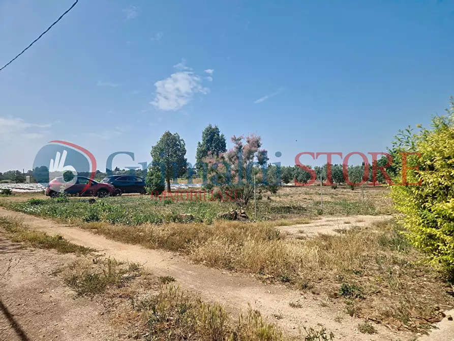 Immagine 39 di Villa in vendita  a Galatina