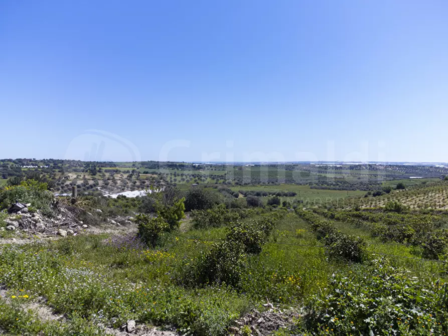 Immagine 11 di Palazzo in vendita  in villa regina isula travel a Noto