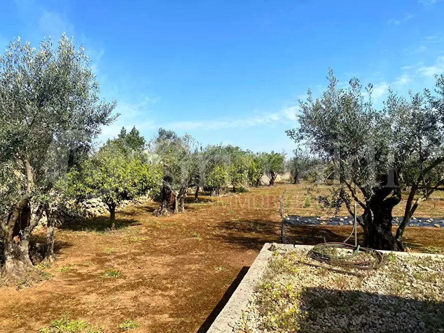 Immagine 16 di Villa in vendita  in strada provinciale 361 a Gallipoli