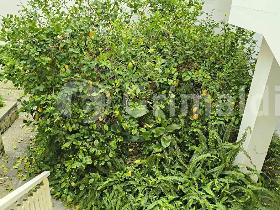 Immagine 12 di Garage in vendita  in via libertà 42 a Sannicola