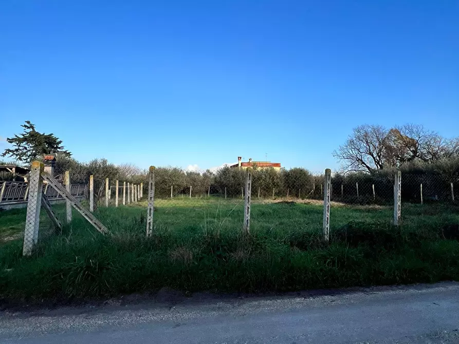 Immagine 2 di Terreno edificabile in vendita  in Via Cellere 1 a Nettuno