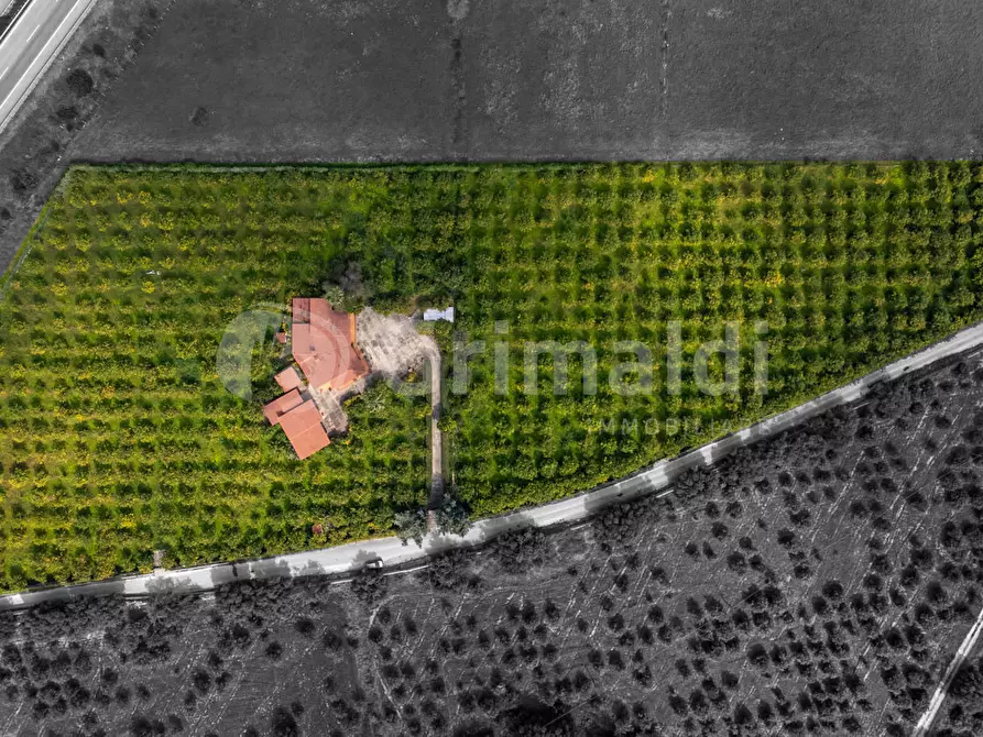 Immagine 24 di Villa in vendita  in Via Bella Pettinata 1 a Avola