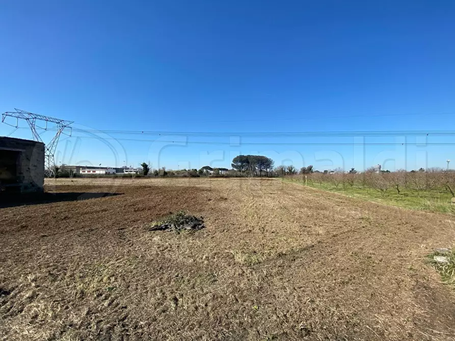 Immagine 3 di Terreno agricolo in vendita  a Giugliano In Campania