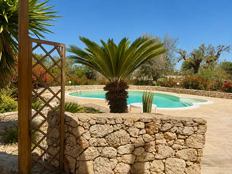 Immagine 6 di Villa in vendita  a San Vito Dei Normanni