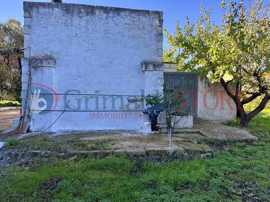 Immagine 33 di Rustico / casale in vendita  a San Vito Dei Normanni