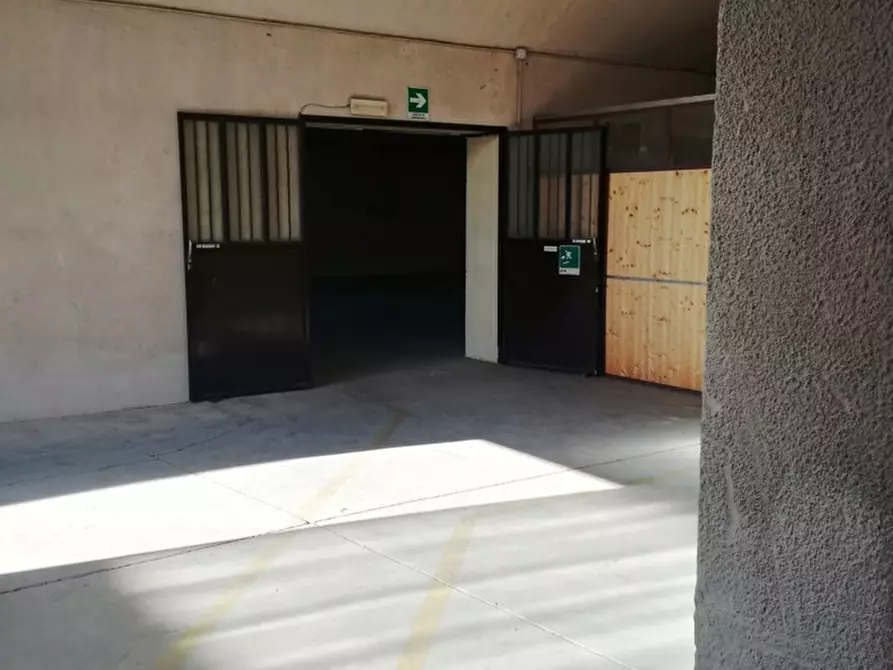 Immagine 5 di Capannone industriale in vendita  a Pezzana