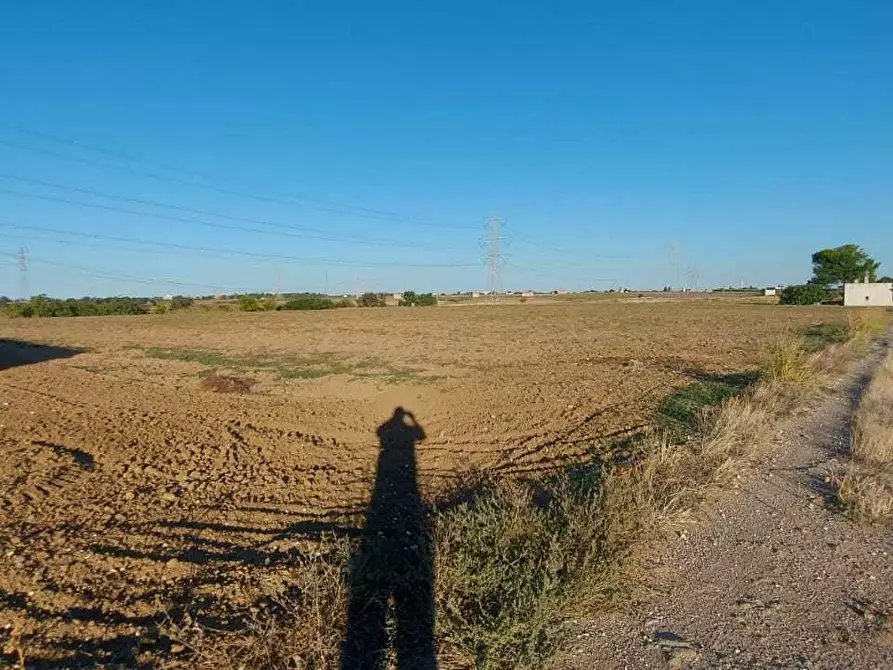 Immagine 16 di Villa in vendita  in Contrada Palmarini a Brindisi