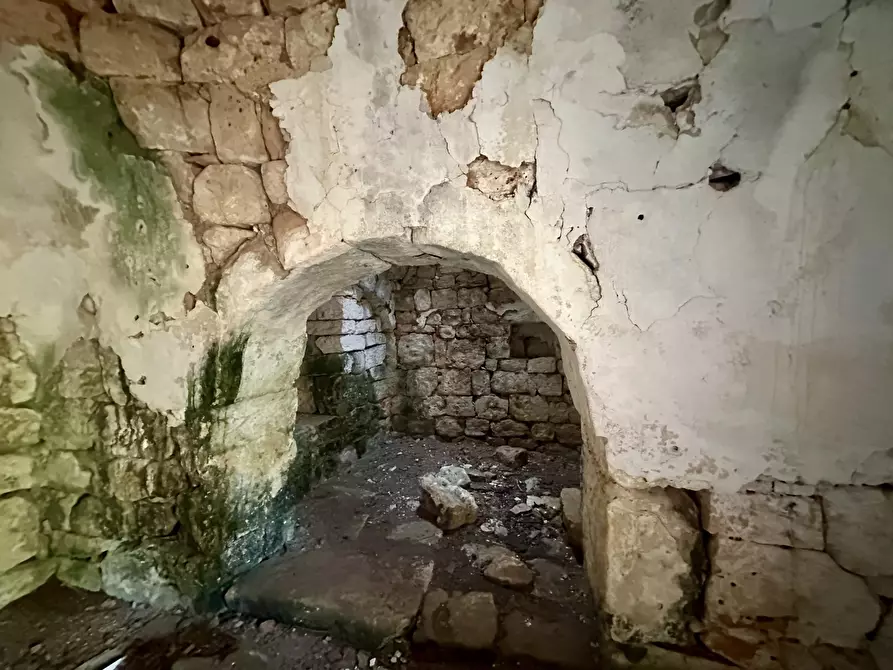 Immagine 15 di Terreno edificabile in vendita  a Ceglie Messapico