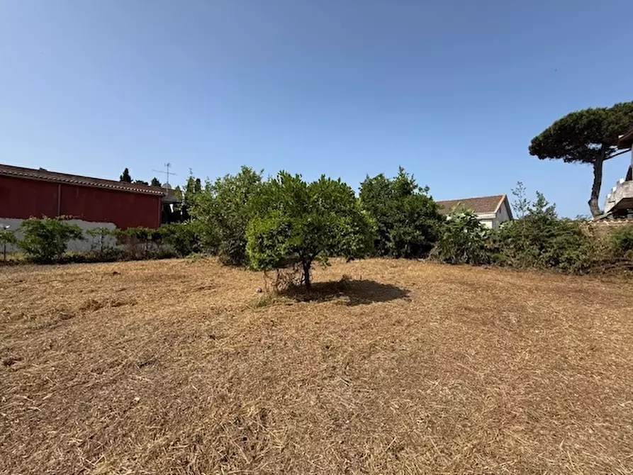 Immagine 9 di Terreno edificabile in vendita  in Via Viminale a Nettuno