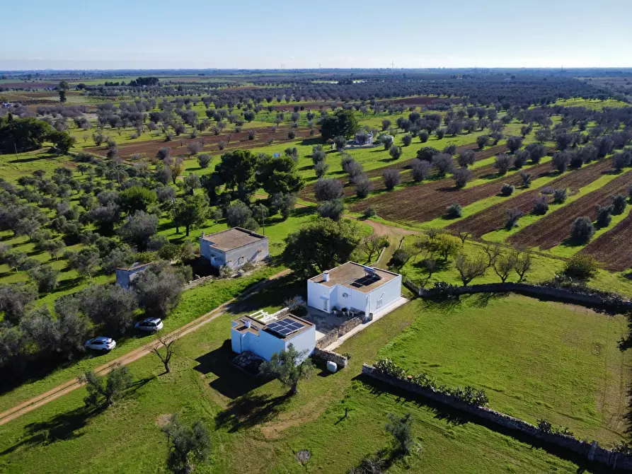 Immagine 61 di Villa in vendita  in Contrada Montestazzo 1 a Carovigno