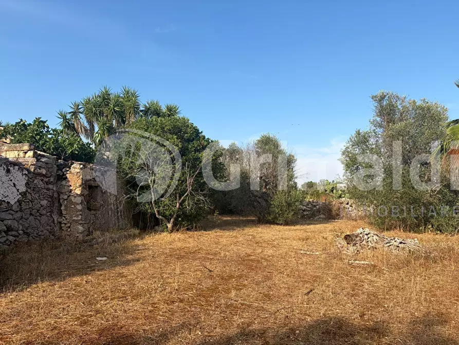Immagine 18 di Terreno agricolo in vendita  in Contrada Coline a Alezio