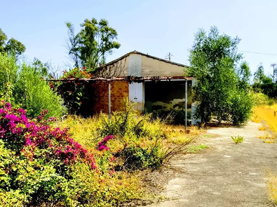 Immagine 19 di Terreno agricolo in vendita  in Lungomare Agnone Bagni a Augusta