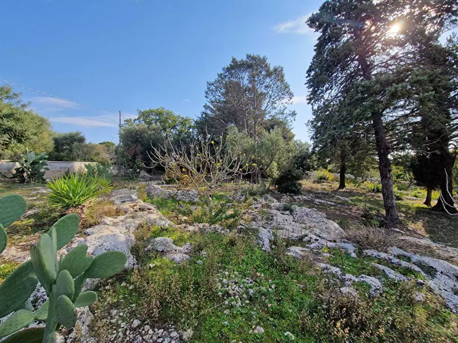 Immagine 13 di Casa indipendente in vendita  a Ostuni