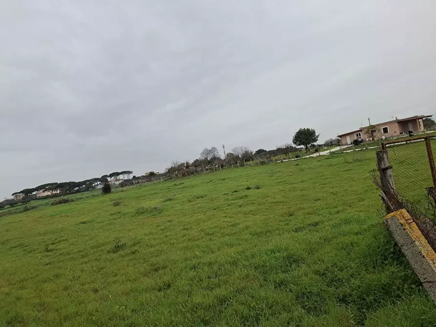 Immagine 2 di Terreno agricolo in vendita  in Via del Pino a Nettuno