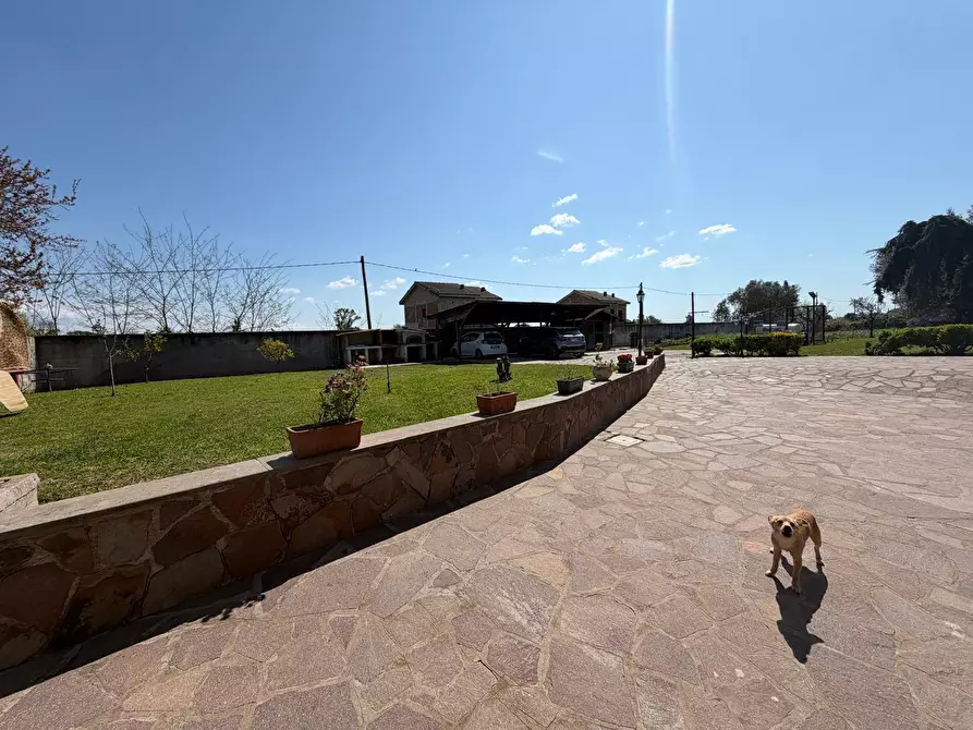 Immagine 5 di Casa indipendente in vendita  in Via Trigno 27 a Aprilia