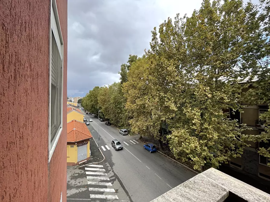 Immagine 13 di Appartamento in vendita  in Viale Giulio Cesare 289 a Novara