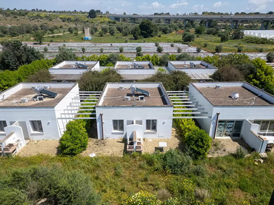 Immagine 46 di Casa indipendente in vendita  in Strada Provinciale 194 a Sannicola