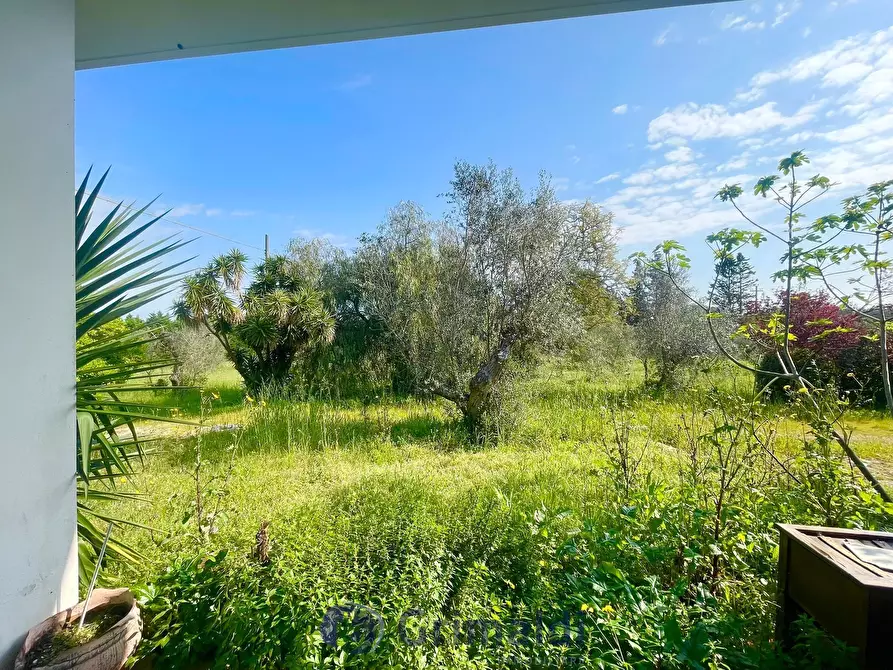 Immagine 35 di Villa in vendita  in strada provinciale 39 a Maglie