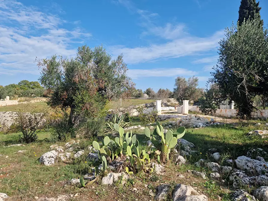 Immagine 6 di Casa indipendente in vendita  a Ostuni