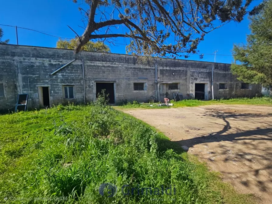 Immagine 1 di Magazzino in vendita  in Via Solano Li Belli 47 a Lequile