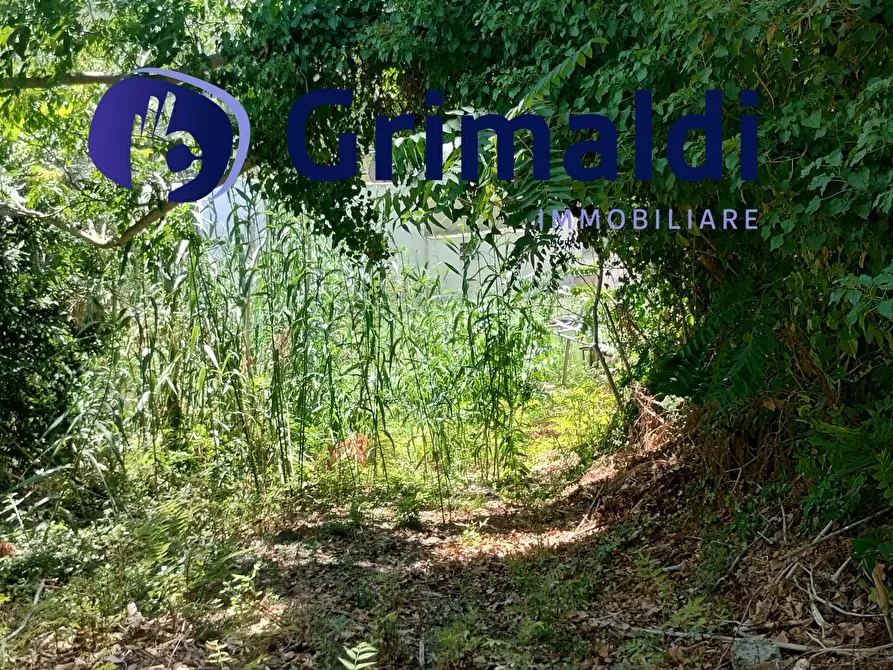 Immagine 8 di Terreno agricolo in vendita  in Corsa Regina Elena SNC a Barano D'ischia