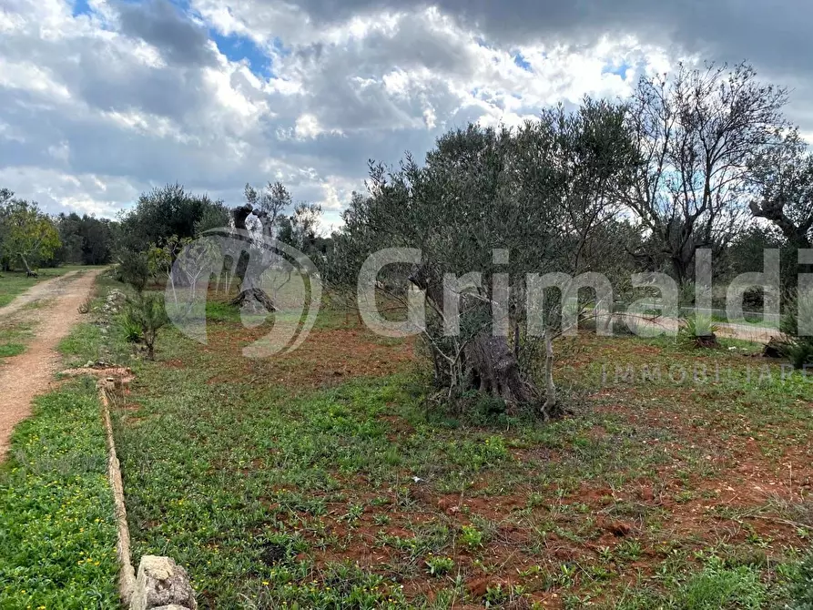 Immagine 2 di Terreno edificabile in vendita  in Santa Teresa a Sannicola