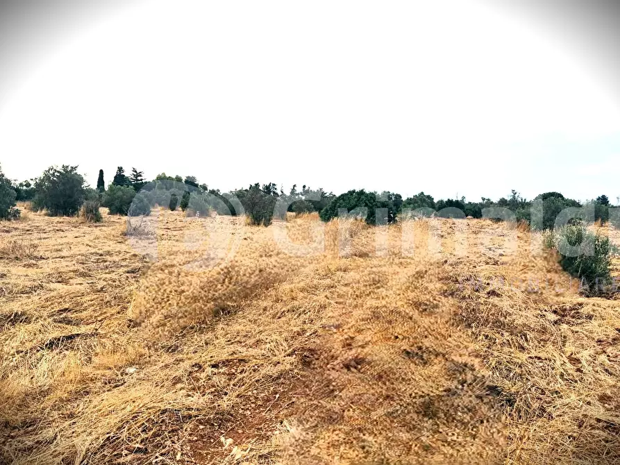 Immagine 8 di Terreno agricolo in vendita  in Strada Statale 274 a Gallipoli