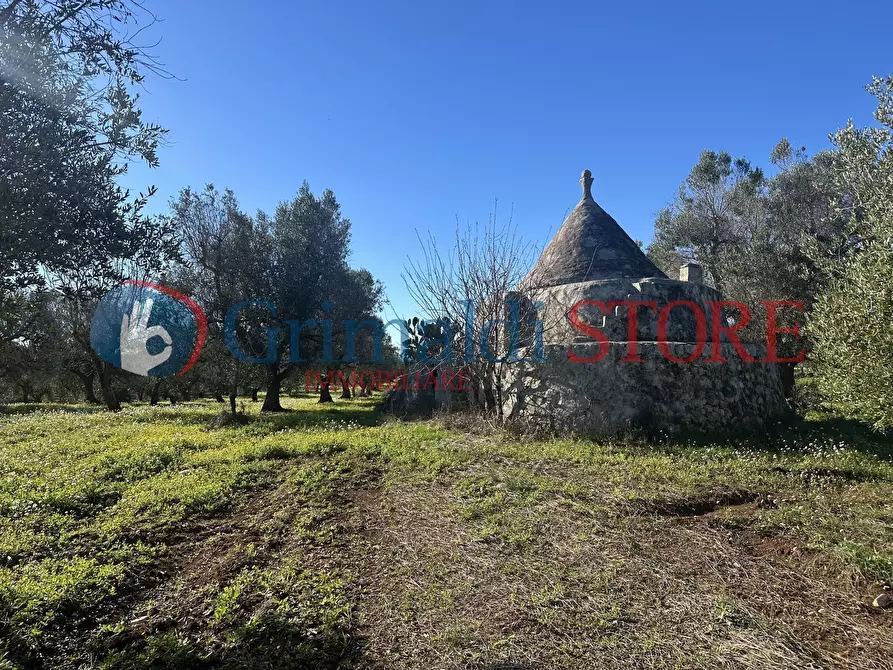 Immagine 24 di Casa indipendente in vendita  a Carovigno