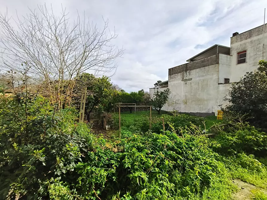 Immagine 3 di Casa bifamiliare in vendita  in Via D'Annunzio 7 a Sannicola