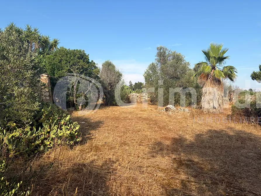 Immagine 15 di Terreno agricolo in vendita  in Contrada Coline a Alezio
