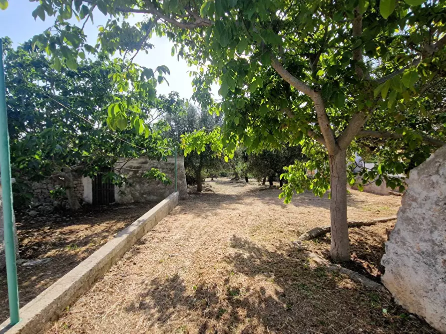 Immagine 21 di Casa indipendente in vendita  in Contrada Pagliericci a Monopoli