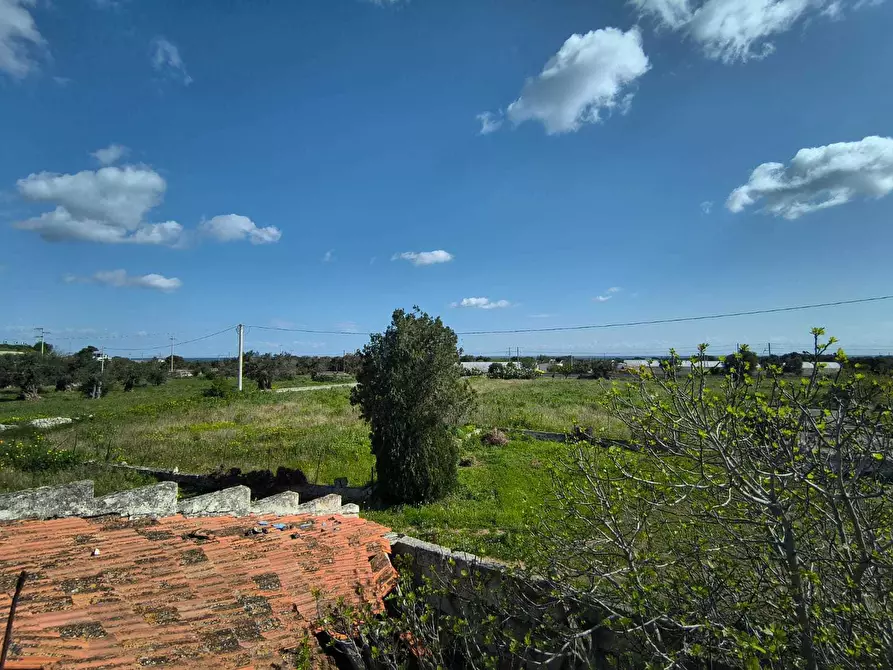Immagine 30 di Villa in vendita  in Viale Aldo Moro a Monopoli