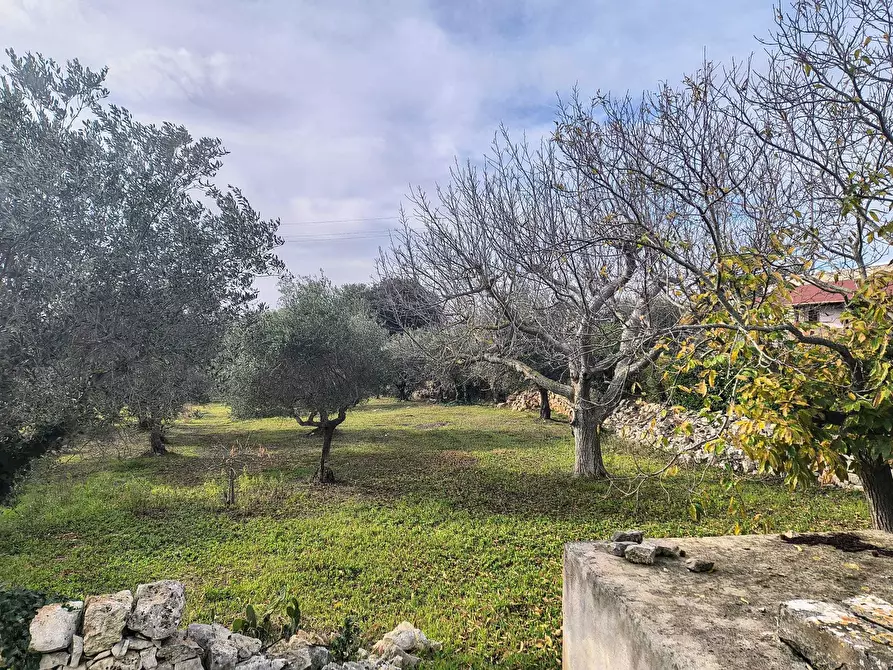 Immagine 8 di Casa indipendente in vendita  in Contrada Impalata a Monopoli