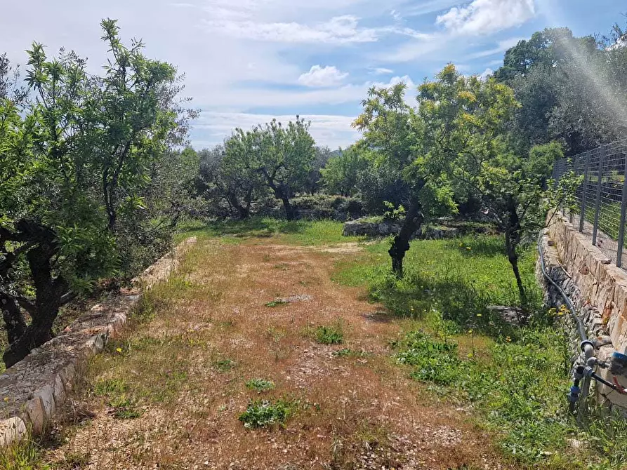 Immagine 11 di Rustico / casale in vendita  in C.da Peroscia a Monopoli