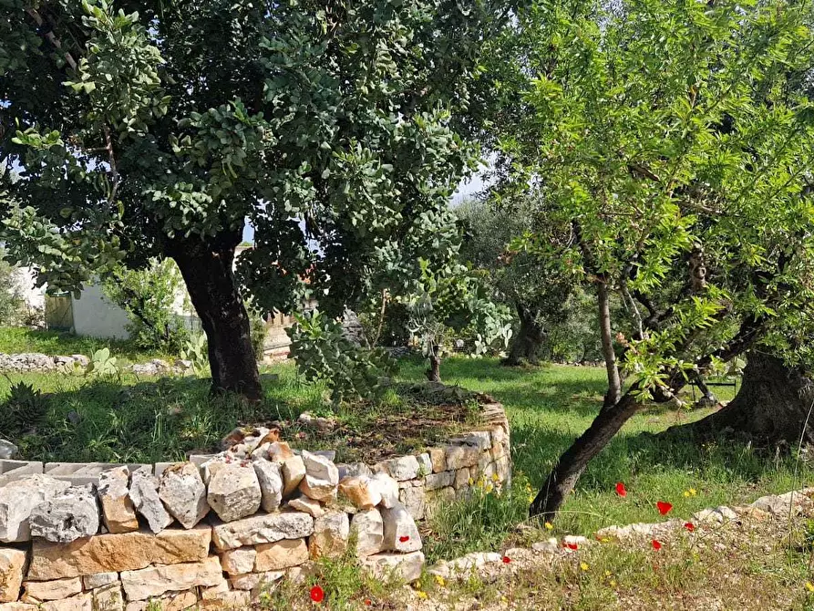 Immagine 7 di Rustico / casale in vendita  in C.da Peroscia a Monopoli