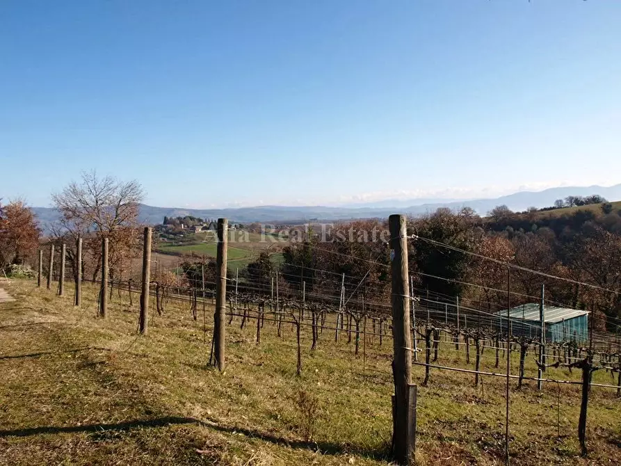 Immagine 12 di Villa in vendita  in Via Maiolata 54 a Porano