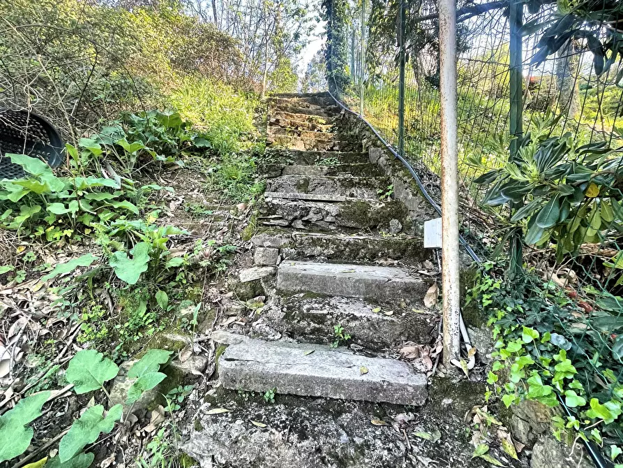 Immagine 36 di Bilocale in vendita  in Via Chiesa Vecchia di Bana 18/A a Camogli