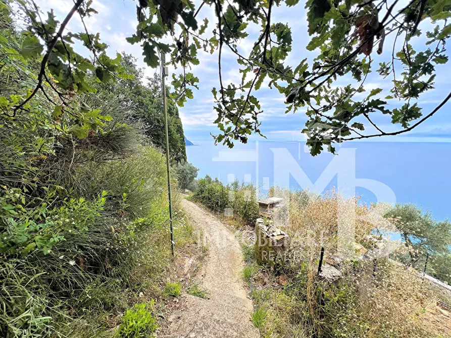 Immagine 18 di Casa semindipendente in vendita  in Frazione Sant'Apollinare 3 a Sori