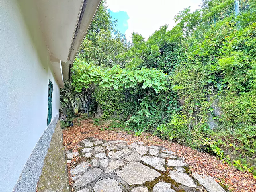 Immagine 22 di Casa indipendente in vendita  in Via Cappelletta 37 a Avegno
