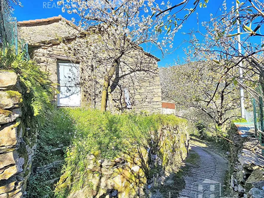 Immagine 4 di Magazzino in vendita  in Frazione Capreno a Sori