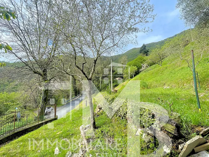 Immagine 61 di Casa bifamiliare in vendita  in Frazione Pannesi 41 a Lumarzo