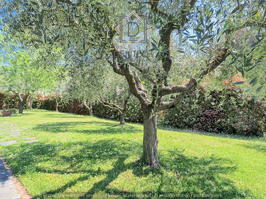 Immagine 14 di Villetta a schiera in vendita  a Sarzana