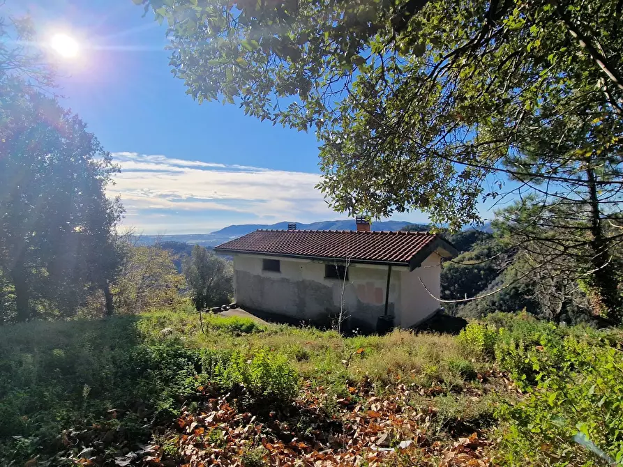 Immagine 14 di Rustico / casale in vendita  a Sarzana