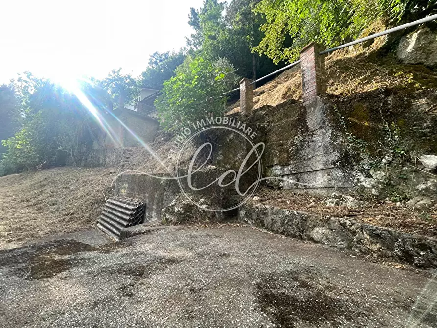 Immagine 45 di Porzione di casa in vendita  a Camaiore