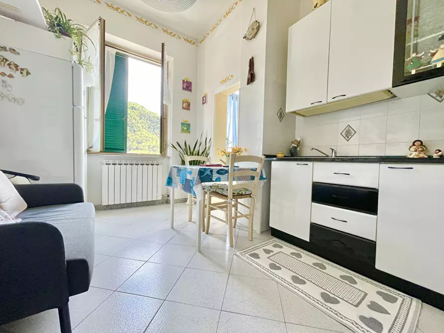 Immagine 5 di Quadrilocale in vendita  a Montignoso