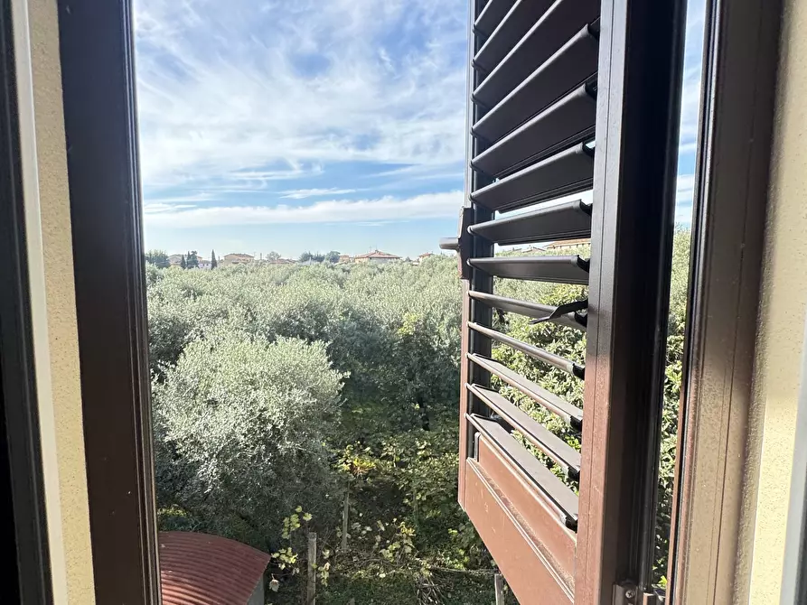 Immagine 38 di Casa indipendente in affitto  a Seravezza